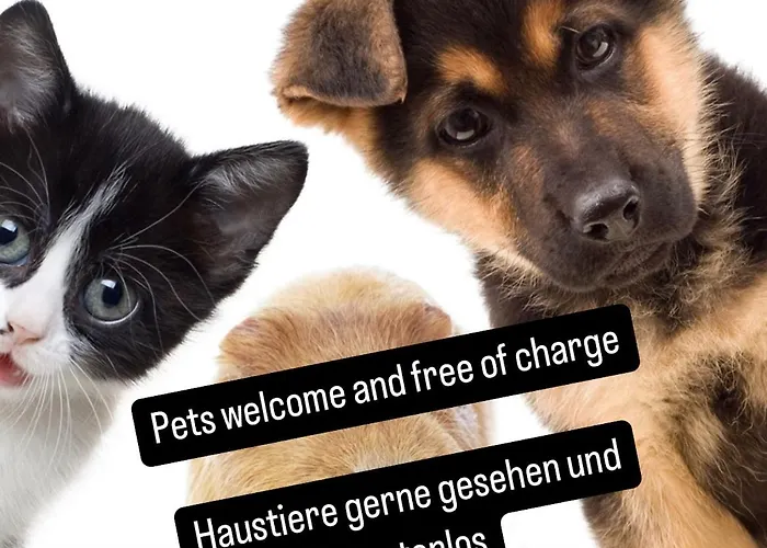 Mitzis Stubn - Pets No Extra Cost - - 24-hour Self Check-in * Bad Goisern