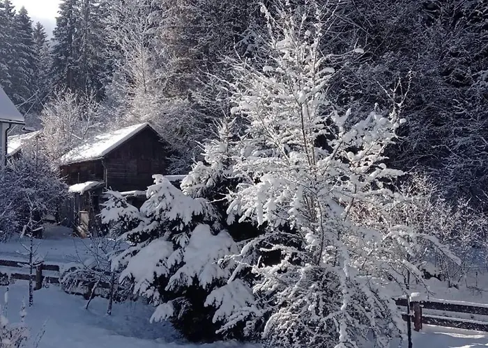 Mitzis Stubn - Pets No Extra Cost - - 24-hour Self Check-in Apartmán Bad Goisern